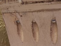 2022-03-21 08.52.21  Frame Bottom with pocket screws holding the side on.  More square-drive screws holding the Backing Board in.  The 3/4&#34; ply resting agains the wall is the Cleat Shim.